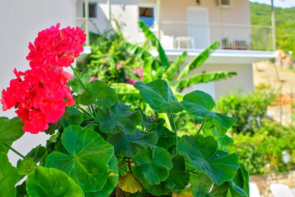 Green Bay Hotel Sami (Kefalonia) Exterior foto