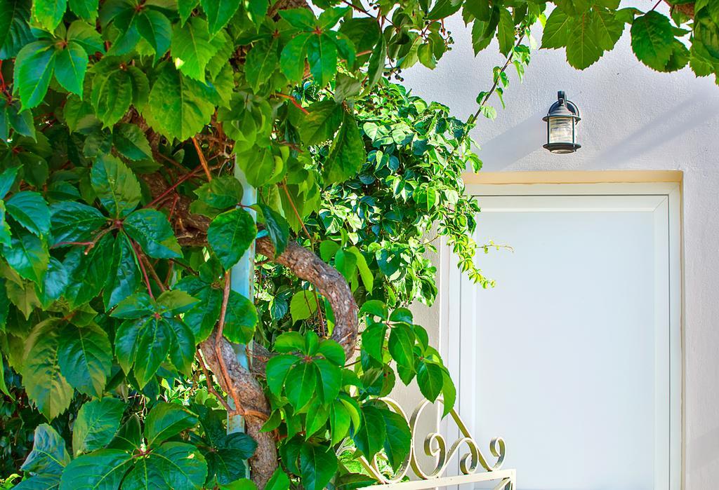Green Bay Hotel Sami (Kefalonia) Exterior foto